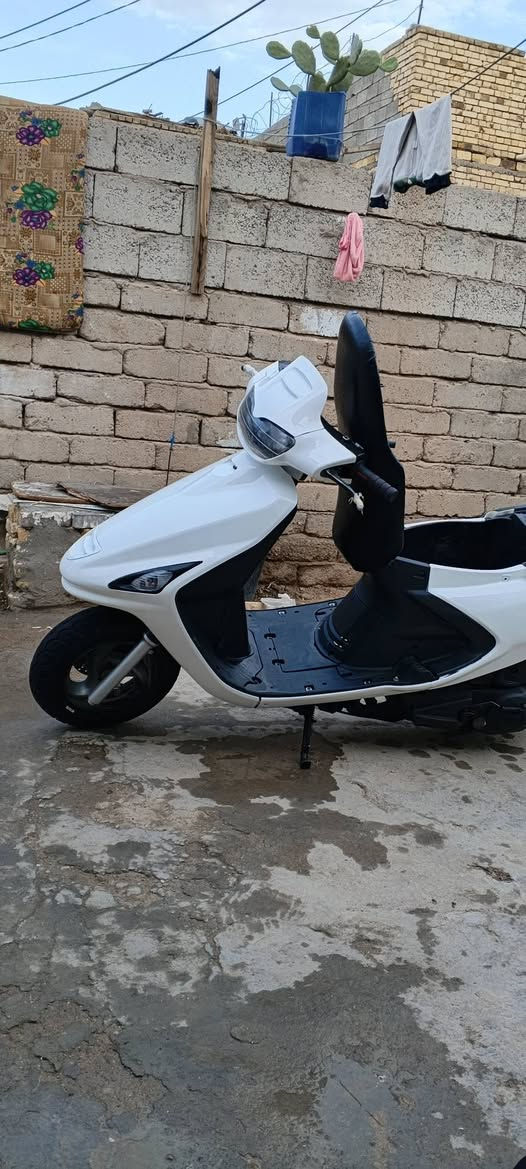 فراشه وكيل فحل / ***********
