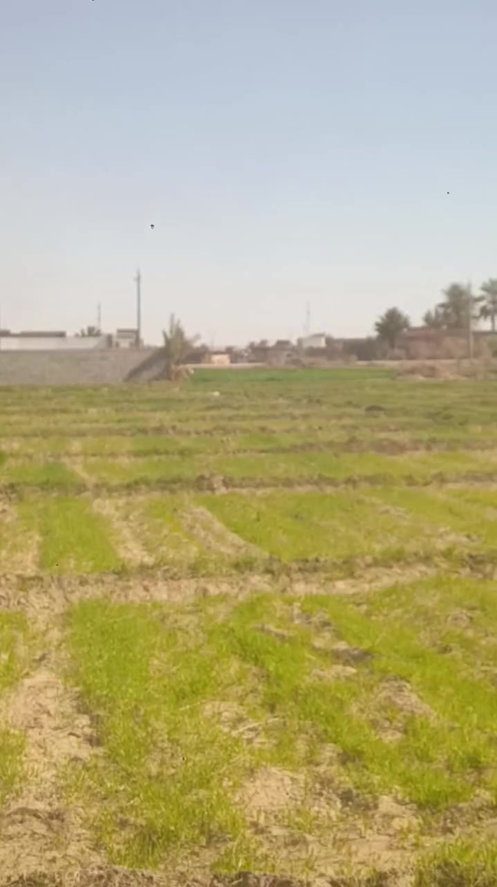 سلام عليكم 
أرض  زراعيه للبيع طابو صرف
الاستفسار التواصل عبر الخاص


**إذا كنت صاحب هذا الإعلان وتريد حذفه لأي سبب، رجاءا أرسل رسالة إلى الدعم الفني**