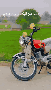 ا
السلام عليكم للبيع او مراوس حسب القناعه تايگر موديل25 خمس نمر الدراجه مامفتوحه شرط الدراجه جديده بس وگع والشاشه كامت الرونات ماتشتغل بس بيهه ضوا السعر 700وبي مجال العنون تكريت البوعجيل للستفسار بس واتساب ***********
