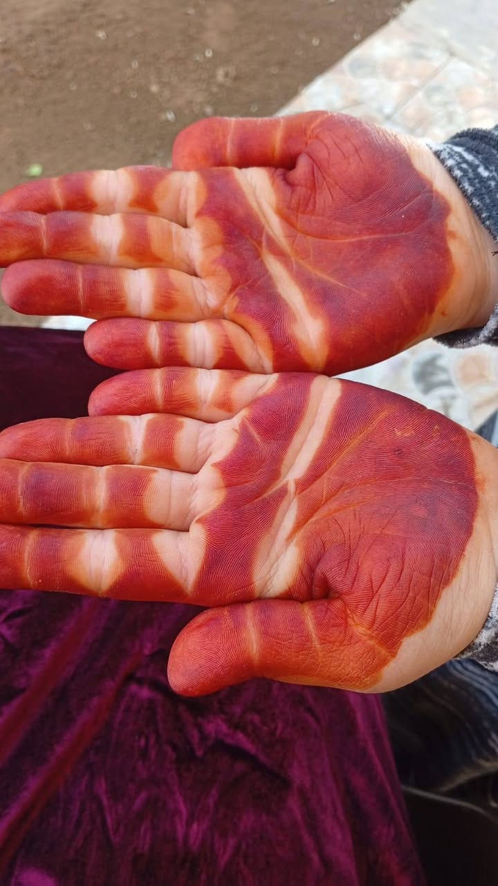 حنه للعيد جنن اصليه مضمونه شرط موزينه ترجع لأستفسار خاص ***********
