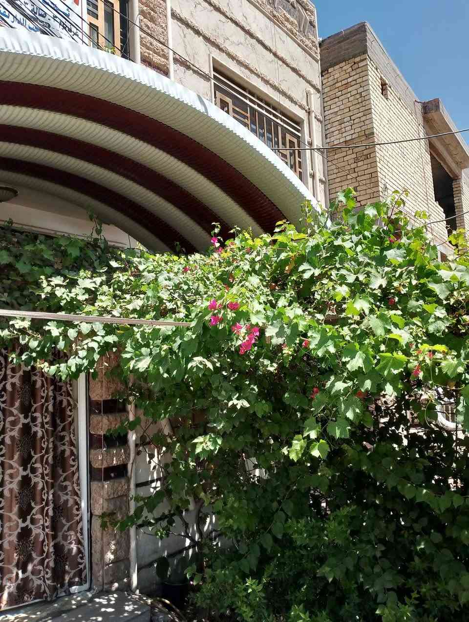 بيت للبيع 50متر ثلاث طوابق 3نوم صاله 3 حمام 2صاله 3 شارع تجاري مباشر على الشارع تجاري حي العباس فرع الثالث الحولي الجديد مقابل اسواق مهودي عرض الشارع 35 متر يصلح حسنيه أو سكن  الاتصال *********** صاحب البيت نفسه
