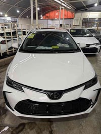 كورلا زيرو • ٢٠٢٥ • المحافضات الشمالية