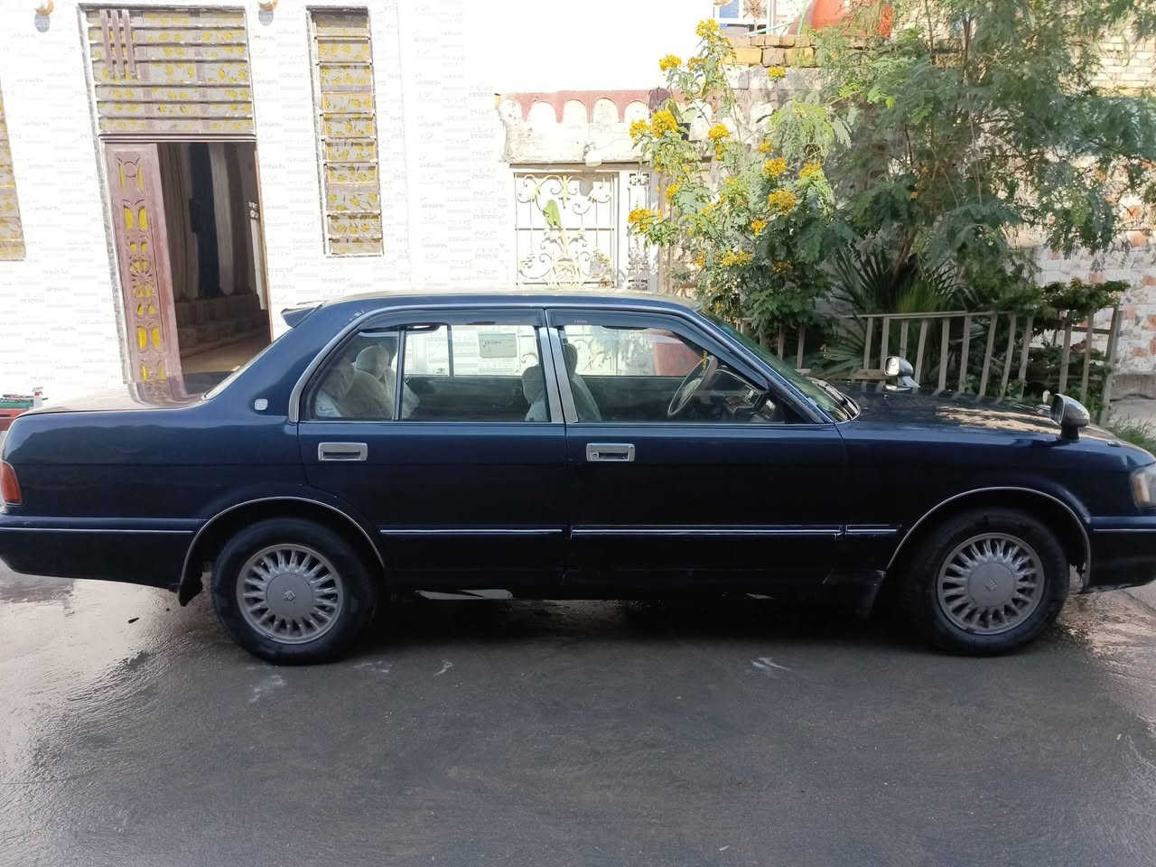 ارنب طويل مديل 93 مكفوله من العيب الشرعي والاصوليات سنويه لل 2030مشروع وطني رقم بصره انكليزي  مشروع وطني امداور اشوكت مااتريد السعر 60 اوبيه مجال العنوان ذي قار الغراف ***********
