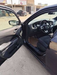 جارجر • ٢٠١٤ • بابل