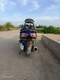 فورزه • كفالة عام • فول عده