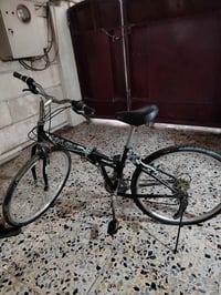 ياباني • ٢٦ • بيه مجال
