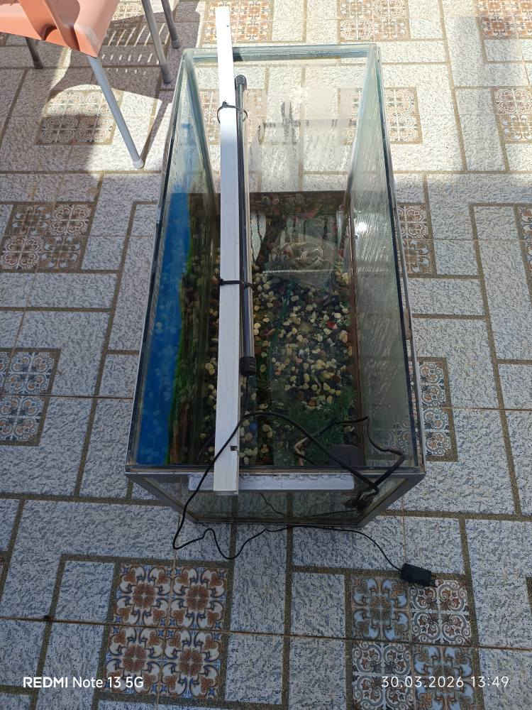 حوض سمك كبير مع اطار من حديد طول 80 سنتيمتر و ارتفاع 60 سنتيمتر مع ملحقاها ضوء وهيتر واحجار شتلات سعر 50 الف كركوك كركوك, العراق


**إذا كنت صاحب هذا الإعلان وتريد حذفه لأي سبب، رجاءا أرسل رسالة إلى الدعم الفني**