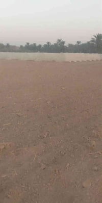 اللطيفيه خلف محطة الإسراء • دونم واحد • سكن وزراعة