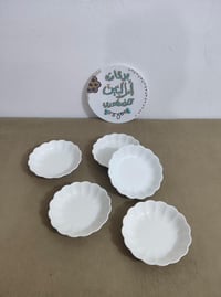 فرفوري اوربي • درجة اولى • بابل الهاشميه