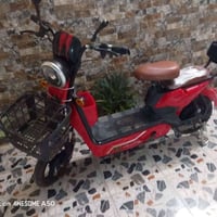 دراجة شحن • حجم ١٤ • تحتاج عقل