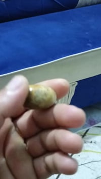 كنبة • صوفا • للبيع