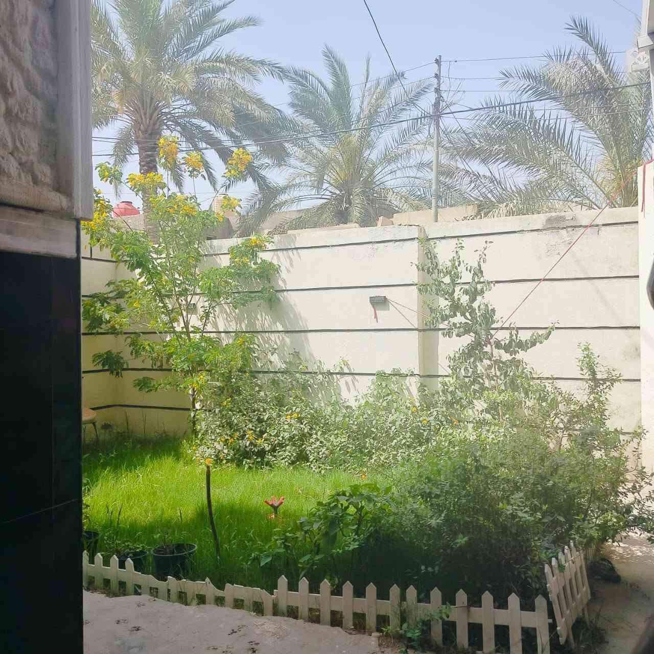 السلام عليكم بيت للبيع جاهز مابي اي نقص مساحة 240 بناء طابوك سقف صب العنوان حي الحسين شارع طه للاستفسار الاتصال على الرقم ***********
