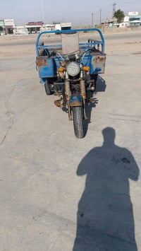 ستوته • مديل 16 • أوراق كاملة