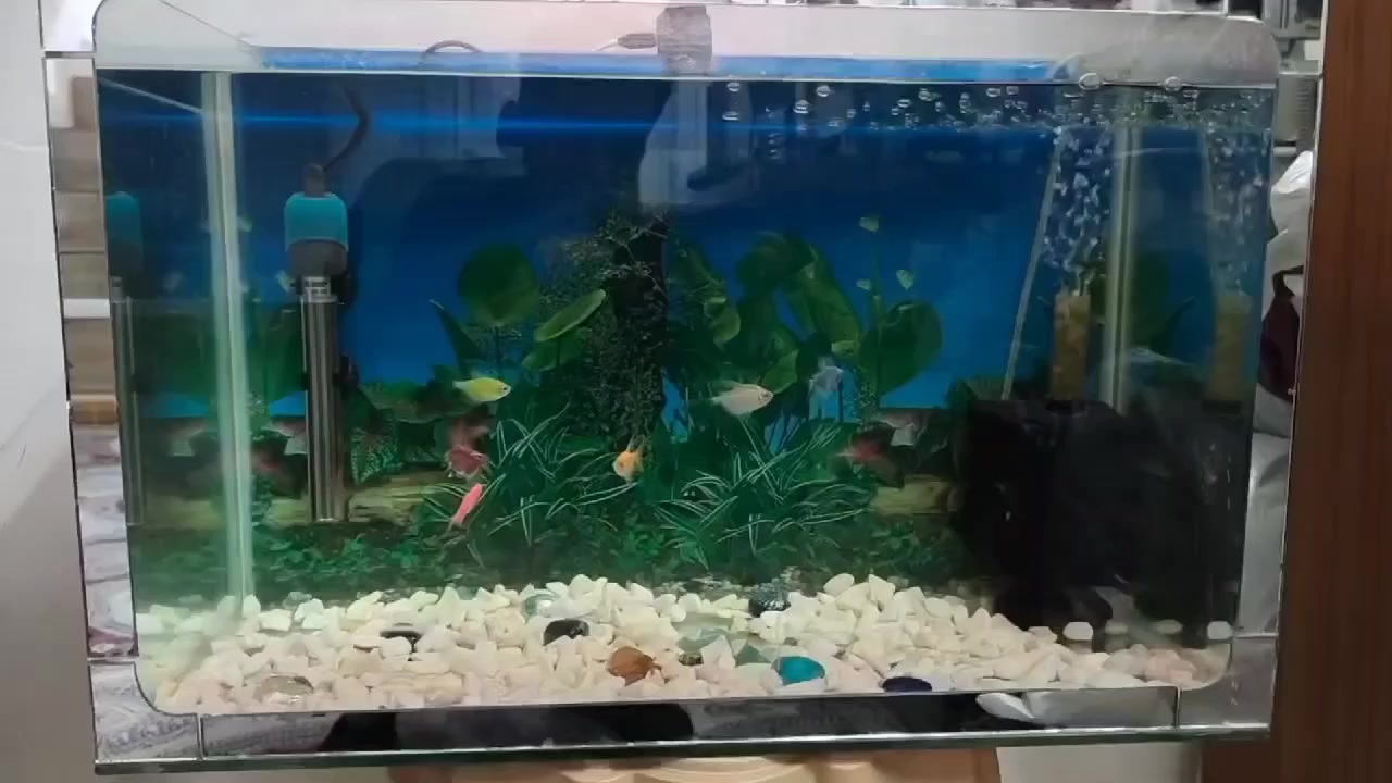 حوض متاح للبيع مع ملحقاته

قياس طول 60 - عرض 30 - ارتفاع 40

سعره 45

العنوان كركوك


**إذا كنت صاحب هذا الإعلان وتريد حذفه لأي سبب، رجاءا أرسل رسالة إلى الدعم الفني**