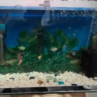 حوض • ٦٠×٣٠×٤٠ سم • كركوك