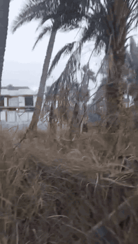 ياالله للبيع دونم في بغداد منطقه الراشديه يم جزره سياحه  ملك صرف تتحوا...