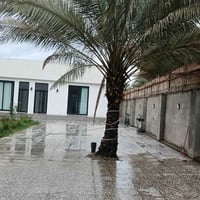 المدائن باوي • ١٠٠٠م • طابو صرف حر