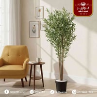 قوارير • توصيل الموصل • حي النجار مول