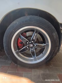 جنوط ويلد • حجم ١٨ • بدون مراوس