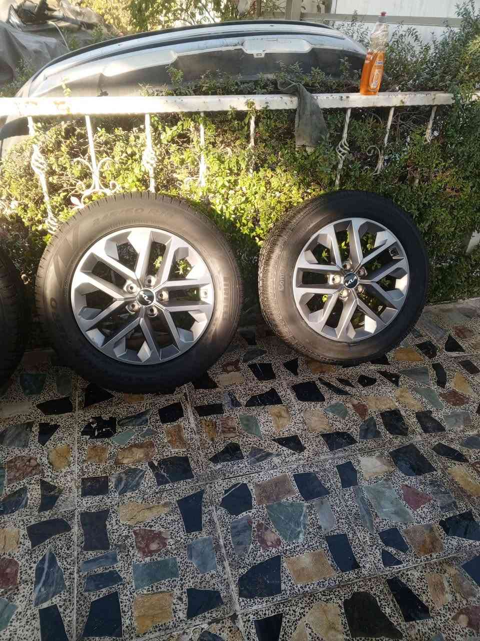 سلام عليكم تخم ويل كب زيرو ماماشي ابد كيا ترولايد المكان بغداد السعر 8ورقات وبيهن مجال بسيط ***********
