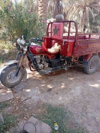 ستوته • نضيفه • رقم ابيض
