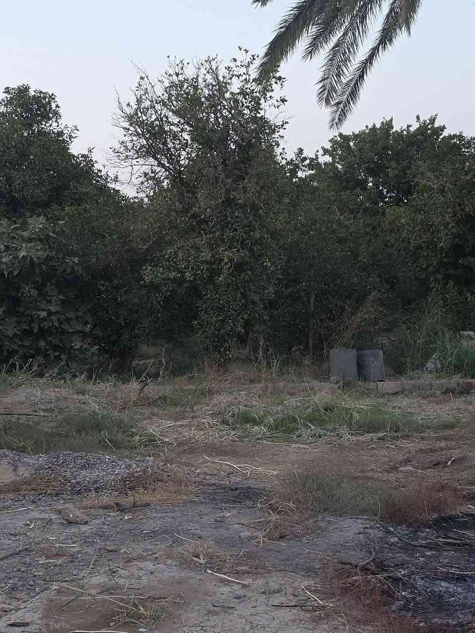 السلام عليكم ورحمة الله وبركاته 🫱🏽‍🫲🏻
بستان ملك صرف للبيع🏞 المساحة دونم ونصف مع زياده في البستان مايقارب الف متر  الواجهه20 ونص نزال 200
العنوان: شاطئ التاجي /مزرفه وحصيوه /مدخل الحصيوة 🛣/قرب جامع الفتاح العليم 🕌
للاستفسار الاتصال على الارقام الاتيه 
كورك: ***********📞📞
اسيا: ***********📞📞
#مكتب_ديرتنا_للعقار 🏢
#بإدارة_أحمد_ابومصطفى🌹
#تواصلوا_معنا💕
