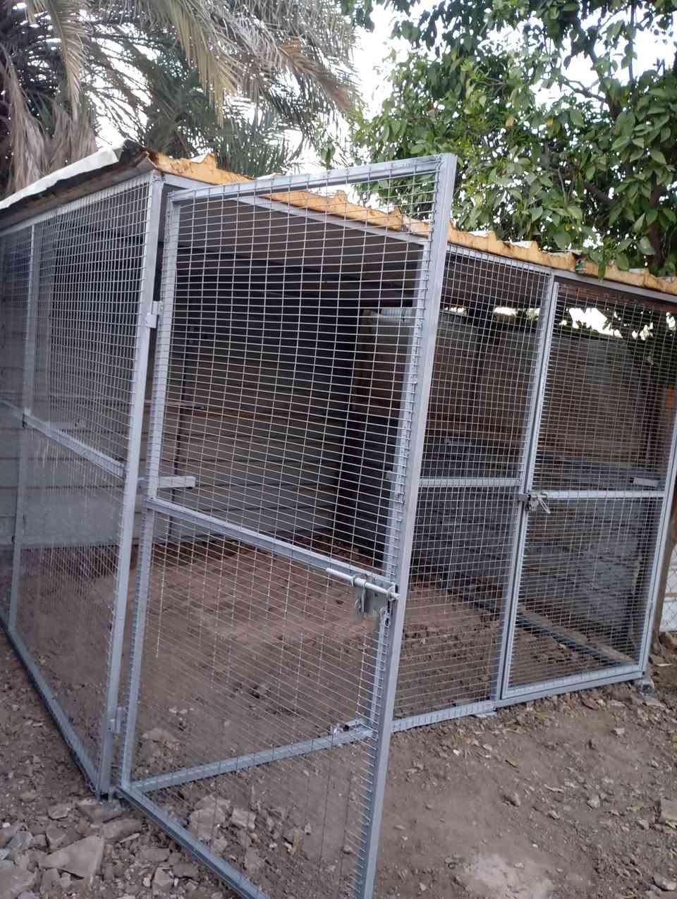 من انته حداد ومن هواه الدجاج . تتونس بل محميات والأقفاص.باقي عل رفوف 🌹


**إذا كنت صاحب هذا الإعلان وتريد حذفه لأي سبب، رجاءا أرسل رسالة إلى الدعم الفني**