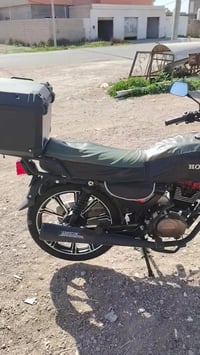 شانك • جديد • ديالى دلي عباس