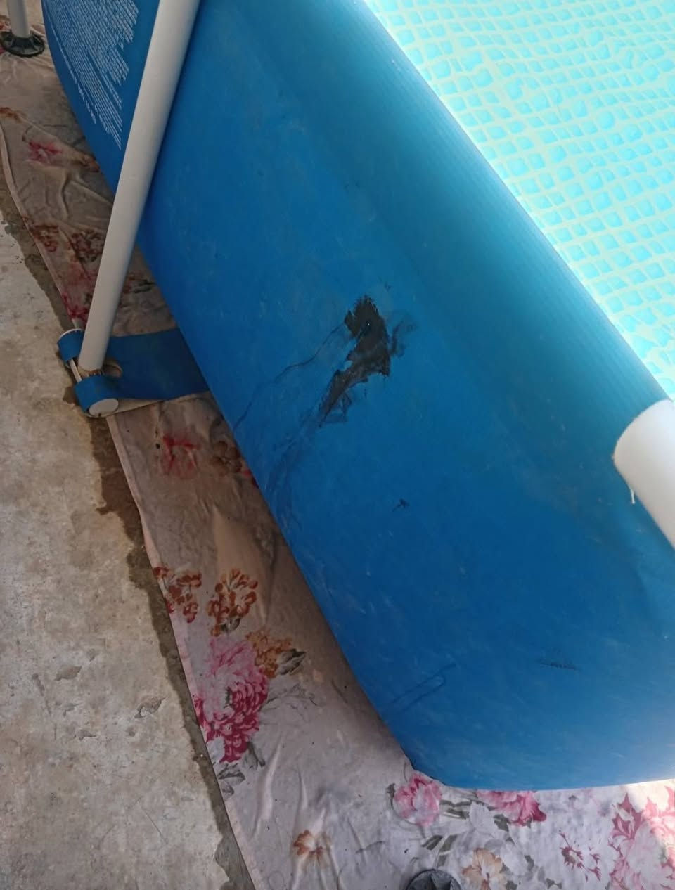 مسبحINTEXللبيع
الطول 3M
والعرض 2M
الارتفاع 75CM
السعر 75وبي مجال قليل
بي اظرار بسيطة طاخو صبغ مال حايط
شوفو بل صورة👇
التواصل خاص


**إذا كنت صاحب هذا الإعلان وتريد حذفه لأي سبب، رجاءا أرسل رسالة إلى الدعم الفني**