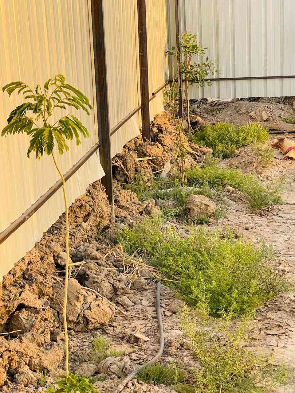 السلام عليكم
قطع اراضي طابو زراعي سند ٢٥ الموقع الشافعية قرب السيد مجيد تتوفر كافه الخدمات ماء كهرباء تبليط وبمساحات مختلفه والاسعار تنافسيه جدااا للتواصل الاتصال *********** او مراسله واتس اب وكما موضح في الصور.
