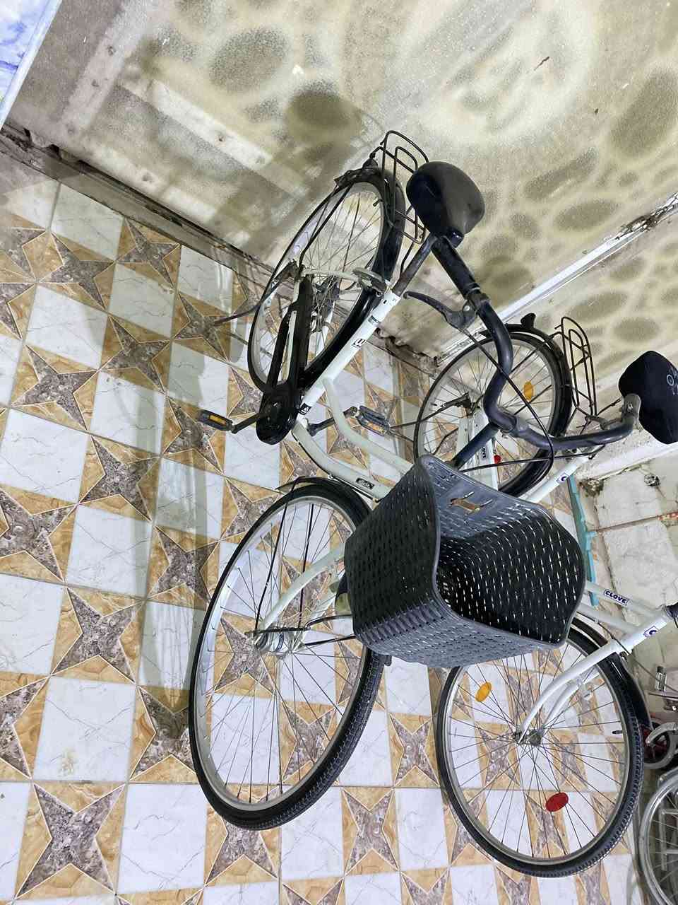 بايسكلات عدد 2 للبيع اصليات مال باله
البي سله قياس 27 سعره 85 الف
والبدون سله قياس 26 سعره 75 الف 
مكاني الاسكندريه حي الزهراء***********
