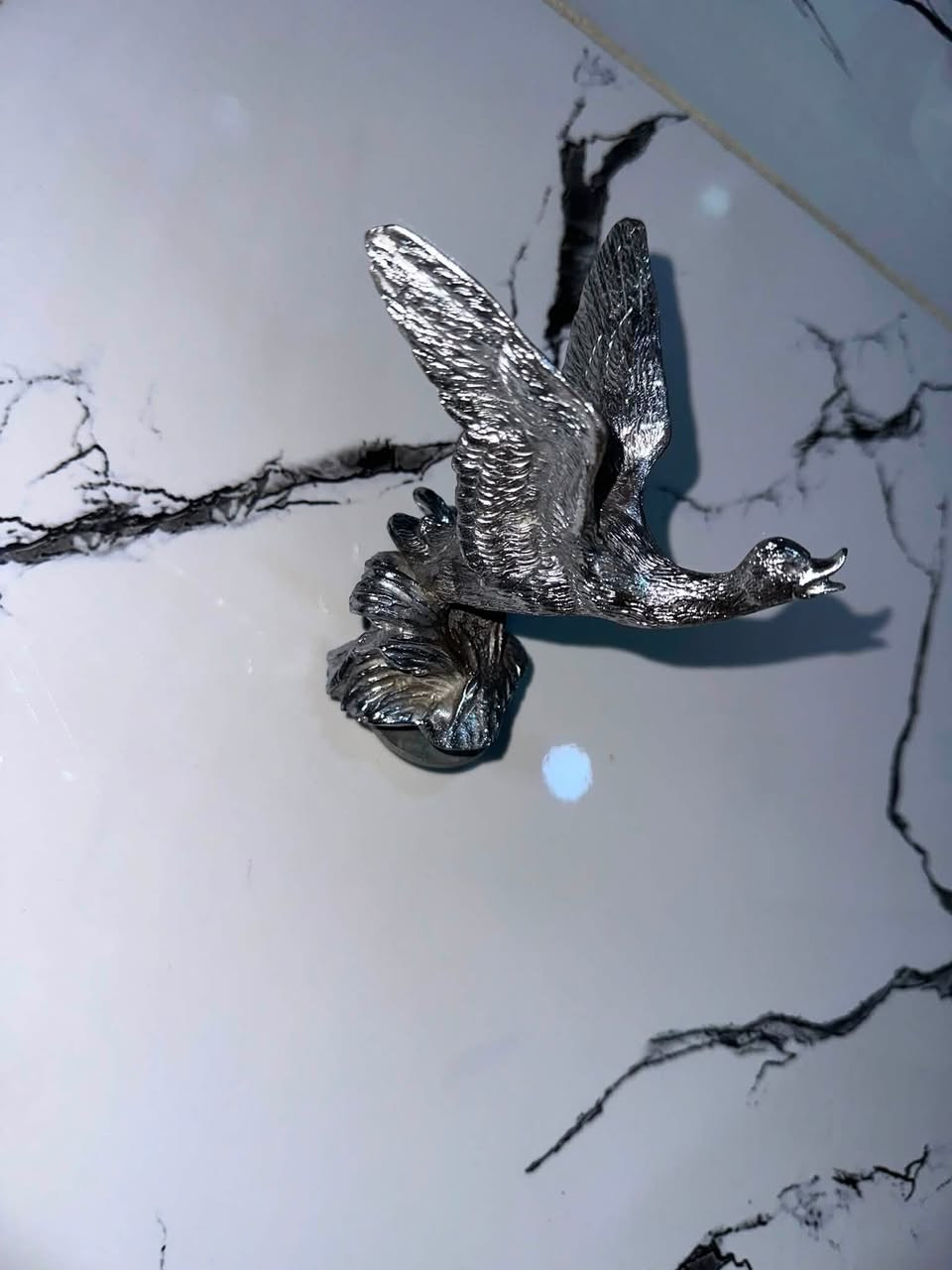 سلام عليكم طير 🦢 مالت سيبايه اصليه البيع سعر ٥٠ الف قفل ***********العنون تقاطع درويش المعالف

