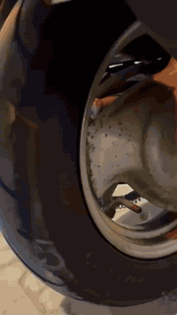 ماكس للبيع منغولي بلاديه 49بلاد ختم واحد ويه لمكينه بيه وصل معرض طالعه سنه بشهر5ب800بيه مجال حك جيه كربلاء مهندسين ***********
