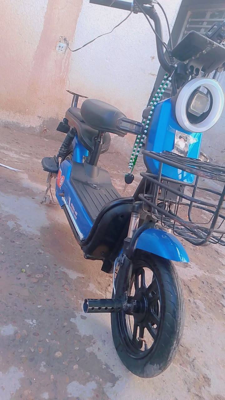 دراجه شحن حجم 14 للبيع
1.النظافه 85•/•
2.ما بيه اي عطل 
3.ابيع كوم حديد
4شاشه شغاله
5.دبل اشاره شغال 
6 اربع بطاريات 
7 بريك وره وكدام
8.وتصوير كدامك 
10. اسعر ب200قفل🔒🔒
11.موقع ميسان حي اشهداء اسايدين
12.الاتصال واتساب ***********
