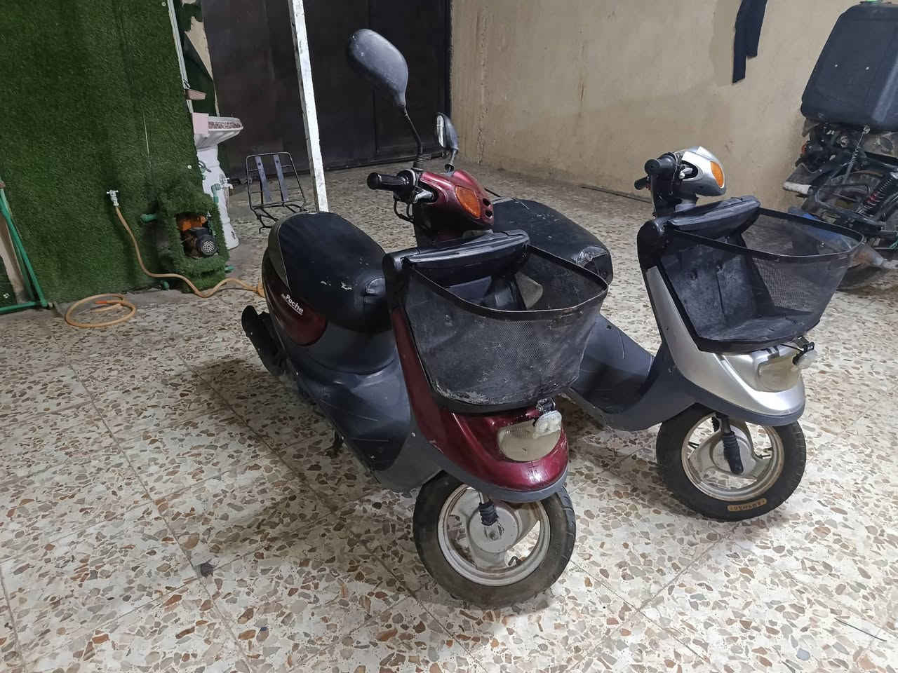 السلام عليكم
دراجات منغولي للبيع سعر 300وحده وبيهن مجال بسيط  نضيفات شغالات سلف هندر محرك ناعم كهربائيات كامله اشاير طوافه كله شغال مكان الاسكان العسكري قرب اساله الماء ***********

