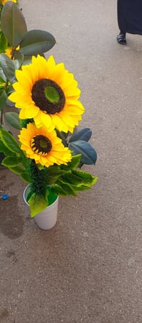 ورود للبيع • بعقوبه • قرب مرطبات الامير