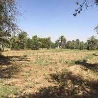 مزرعه ملك • ١٥ دونم • ناحية الوحده
