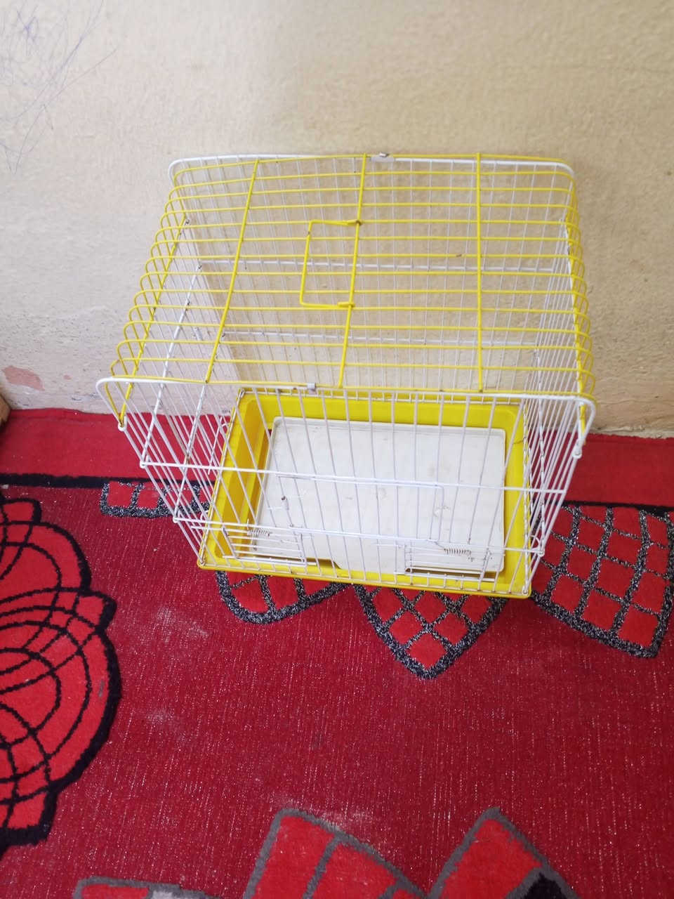 السلام عليكم قفاصه نظيفات البيع كل واحد وسعرة العنوان بغداد الحريه متواجد علئ خاص


**إذا كنت صاحب هذا الإعلان وتريد حذفه لأي سبب، رجاءا أرسل رسالة إلى الدعم الفني**