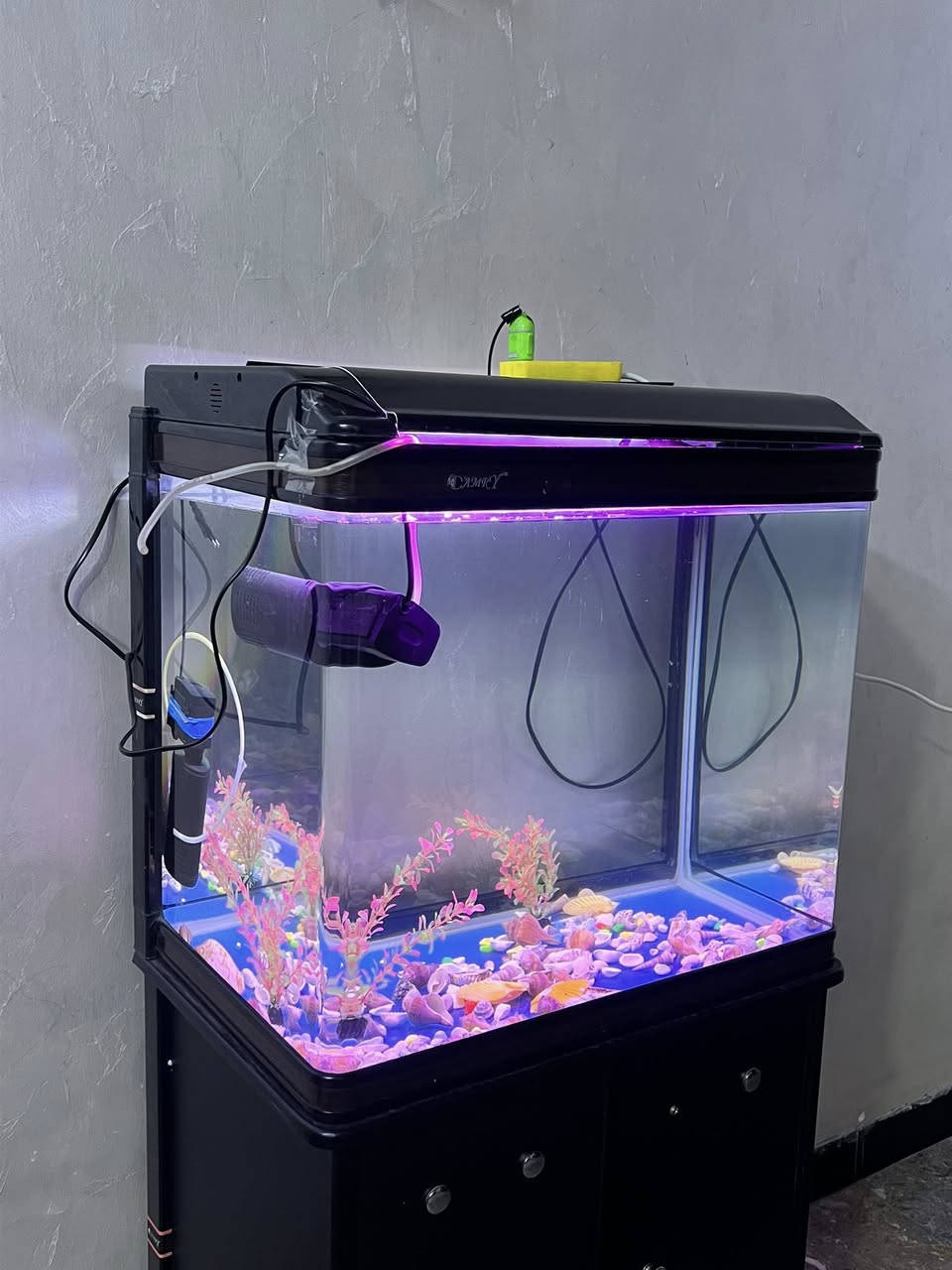 السعر 100 الف
حوض سمك من ماركة كامري العالمية
نزال 60 سم | طول 50سم
حواف مستديرة
يجي وياه عدد 2 فلاتر 
انارة ابيض/بنفسجي
المكان بغداد/الدورة
للتواصل واتساب :***********
