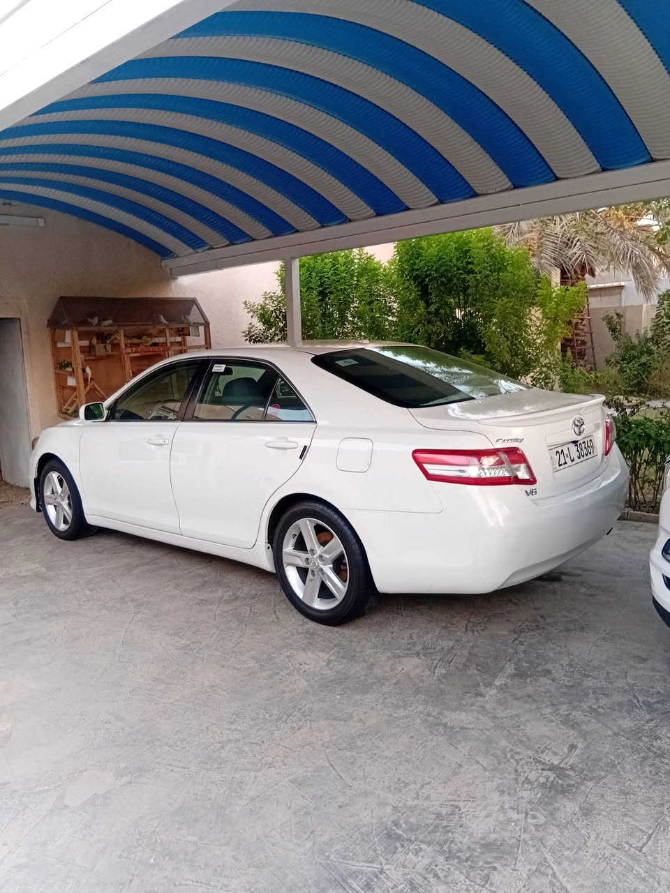 كامري امريكي 2010 ابيض ثلجي
محرك 2500
كير 6 نمر
مواصفات LE 
كشن كهربائيّ 
تحكم استيرن 
مثبت سرعه
شاشه كامره امامي خلفي 
حادث بنيد فقط 
مكان السياره بابل الشوملي 
*********** واتساب 
***********
