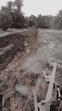 سلام عليكم
لبيع فيات 780
مكان نجف حيدرية 
***********
