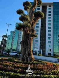 مجمع الود • ٢٣٠م • إطلالة بوليفارد