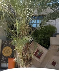 العنوان حي العدل المحاربين المساحه 150متر عدد الغرف 4