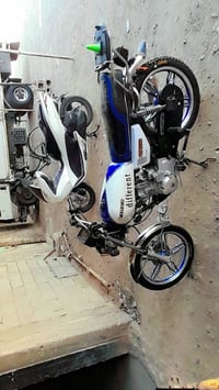 سيفان • ٢٠٢١ • ورقه كورتونيه