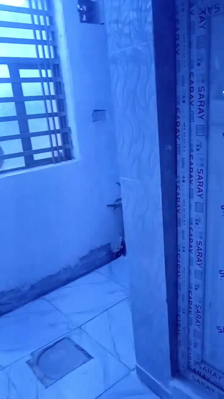 السلام عليكم بيت مساحة ٦٠ طابقين شارع أبو دراج طرمة مطبخ هول غرفة صحيات وفوك غرفة وسطح السعر ٤٨ كامل خدمات
***********
