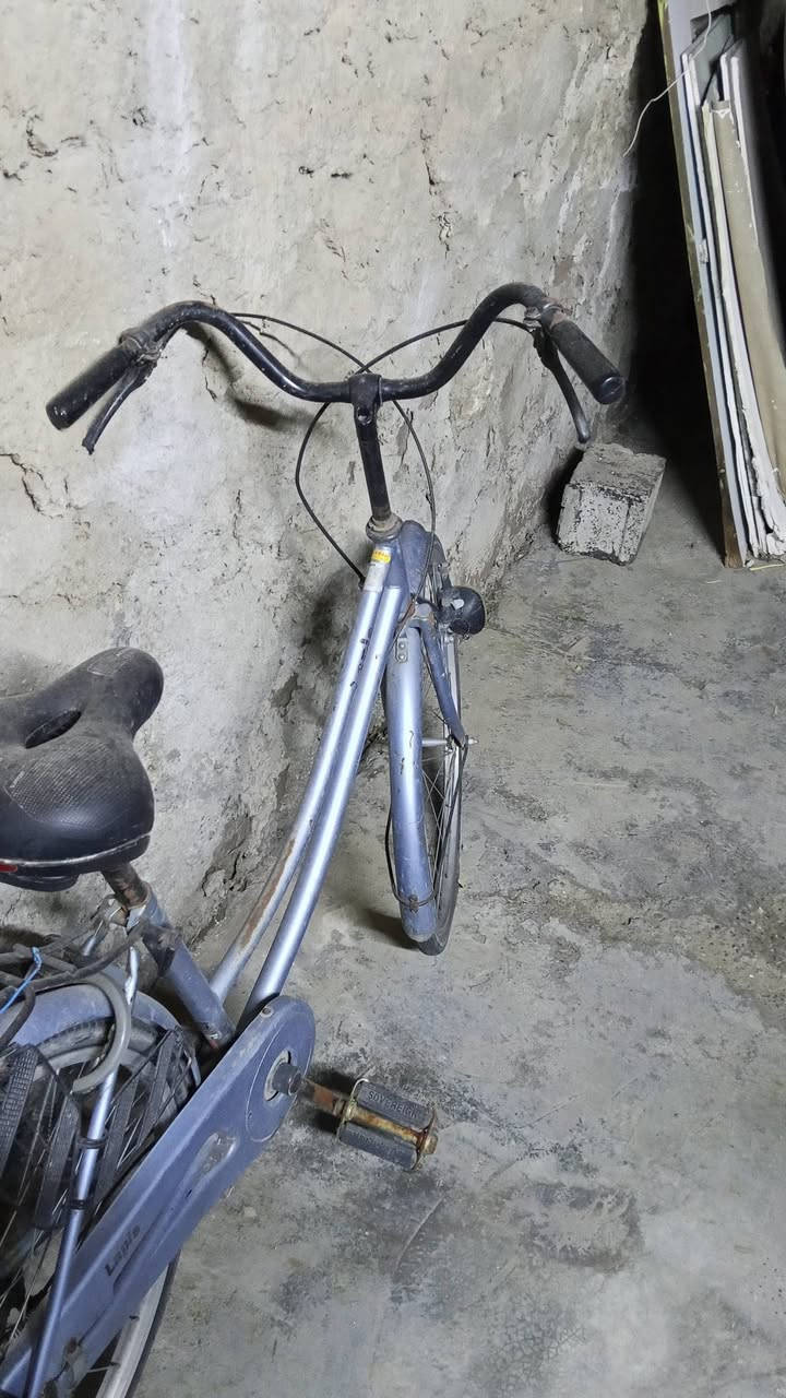 بايسكل ياباني اصلي  كله بلاد شرط مامغير اي شي بي لوك بايسكل سعره 90وبي مجال


**إذا كنت صاحب هذا الإعلان وتريد حذفه لأي سبب، رجاءا أرسل رسالة إلى الدعم الفني**