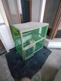 قفص • الفلوجه