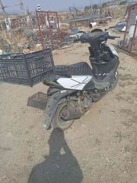 هوندا • 2022 • بنجوين