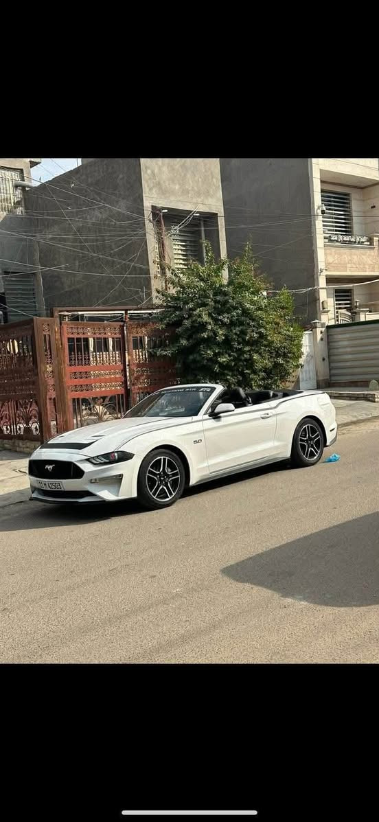 - [ ] السلام عليكم للبيع موستنك 2022GTفول موصفات عده الدجتل حادثه البنيد ونصه مصبوغ وجاملغ خلفي كلير امريكا بدون ضرر سياره ستوك بدون لا برمجه ولا داخله ساحه بدون اي نقص وبسمي سعره 195 وبيه مجال لشراي ***********
