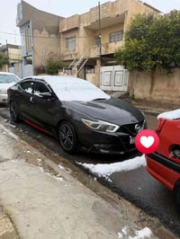 ماكسما بلتينوم • ٢٠١٧ • بانورما جلد